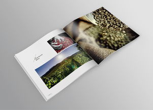 品味巔峰，源自純粹——帝芬諾高端精品咖啡產品宣傳畫冊